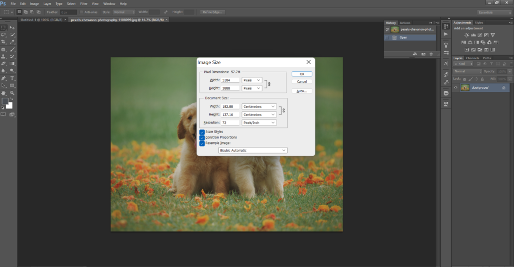 How to Resize an Image in Adobe Photoshop